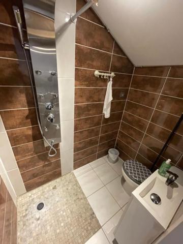 Studio Privee Vesoul -Wifi,Tv,Clim,Parking Gratuit エクステリア 写真